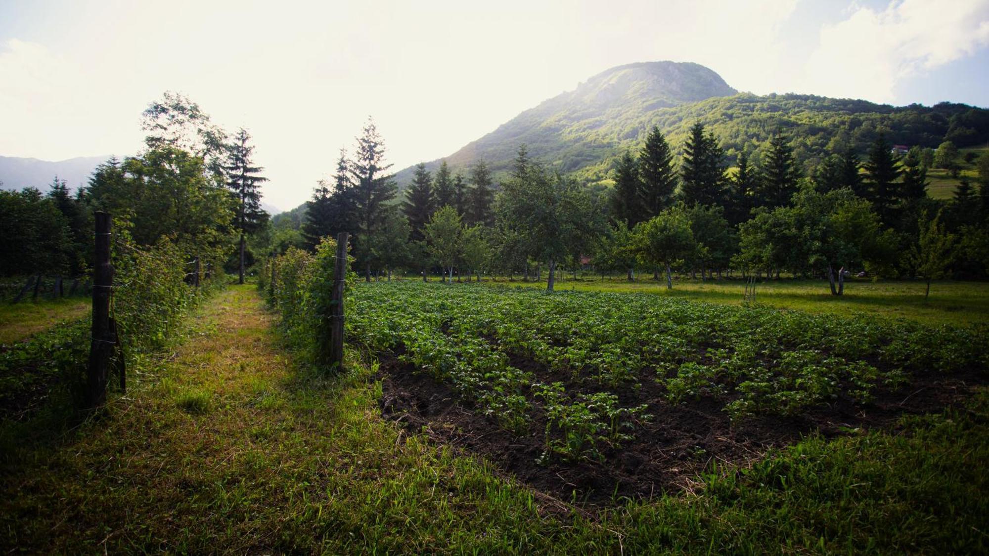 Ethno Village Stitarica Мойковац Экстерьер фото